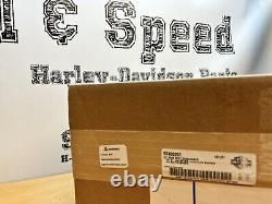 Genuine Harley-Davidson Sportster S Sundowner Passenger Pillion SEAT 52400251