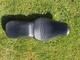 Harley Davidson Sportster Xl1200 Xl883 Rider And Pillion Seat