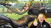 The Truth About Harley Davidson S Hammock Seat Exposed By An Expert What S Inside
